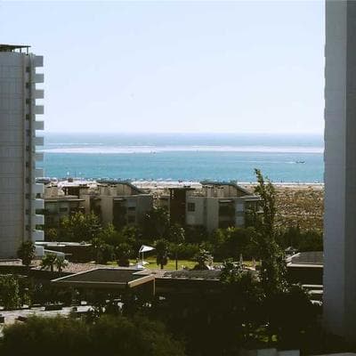 Перець Білозірка