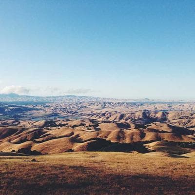 Томат Асвон F1